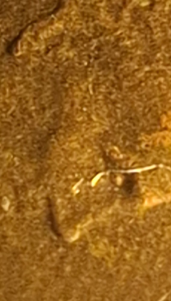 1982 D Lincoln Cent