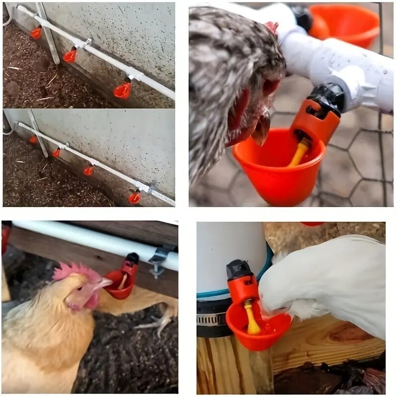 10 Poultry Water Drinking Cups Chicken Hen Plastic Automatic Drinker Feeder