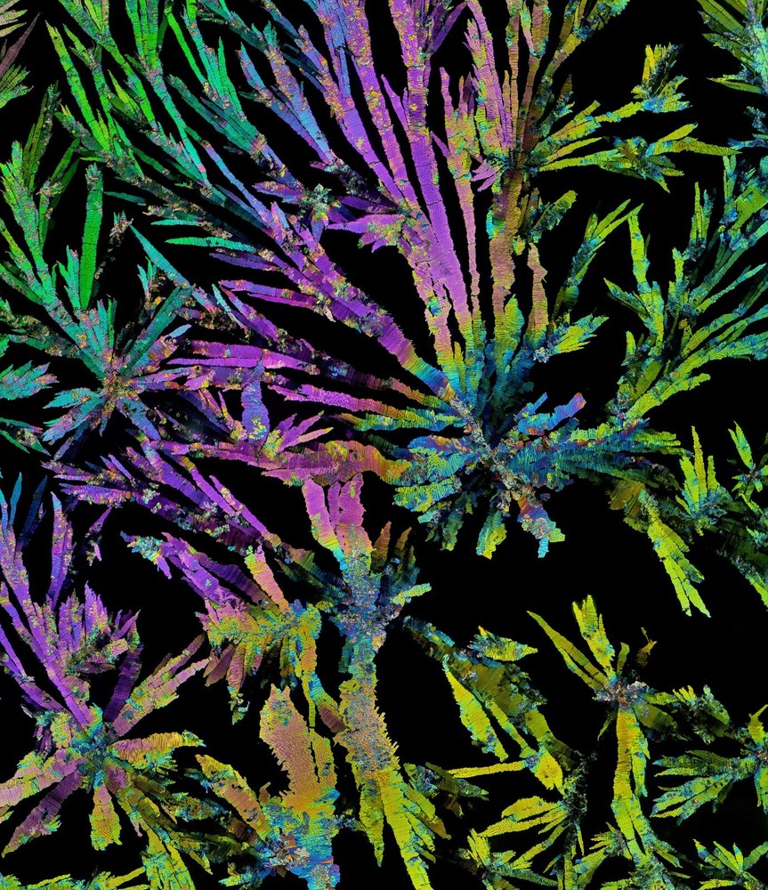 Microscope slide for polarization, THEOBROMINE