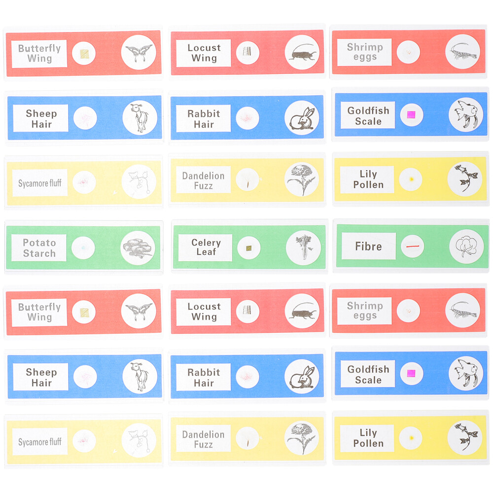 36 Pcs Microscope Slide for Science Education Biology Child