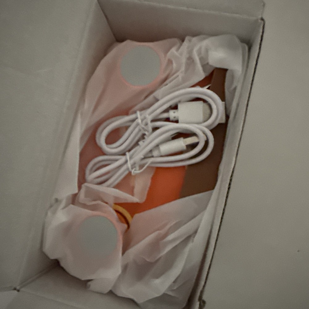 Portable Karaoke Machine