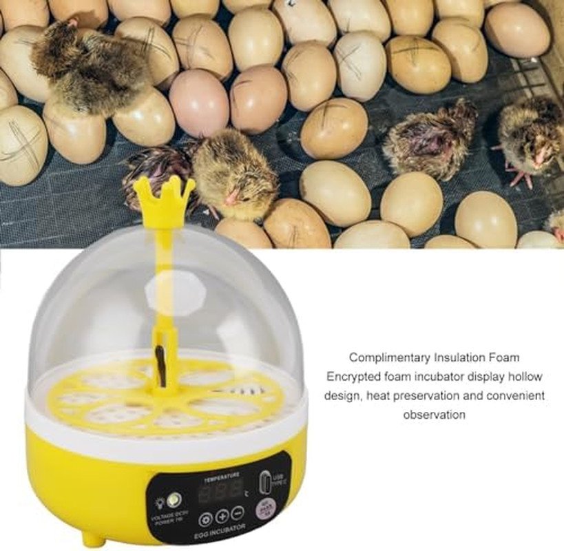 Mini Egg Incubator, Temperature Control Digital Incubators, 4 Eggs Candler Poult
