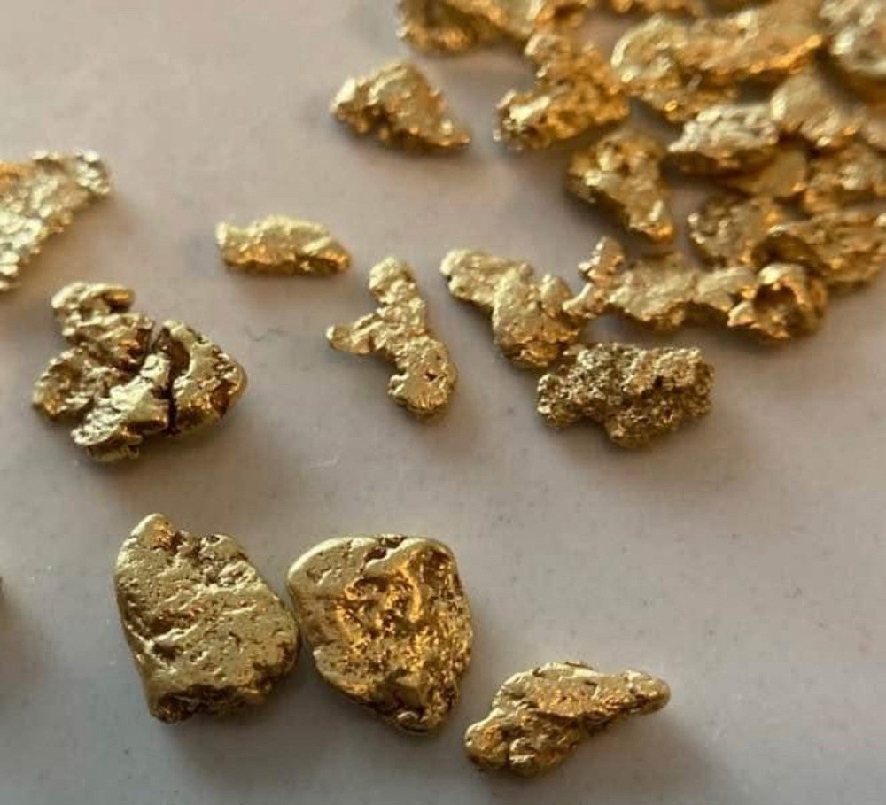 Gold Paydirt Loaded With Gold