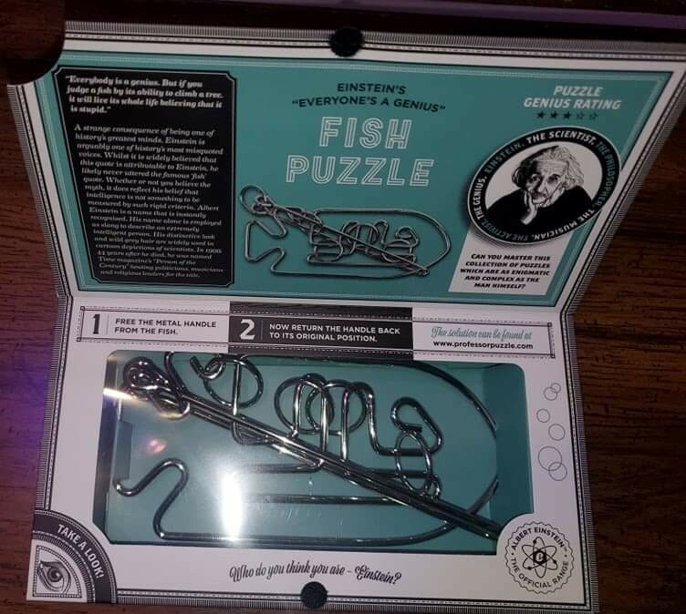 Professor Puzzles Einstein's Fish Puzzle