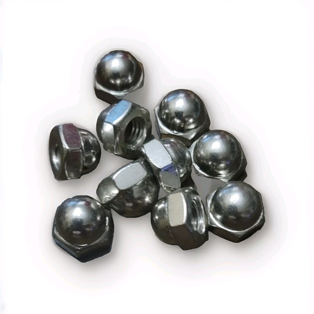 5/16 Acorn Cap Nuts Stainless Steel Quantity 10