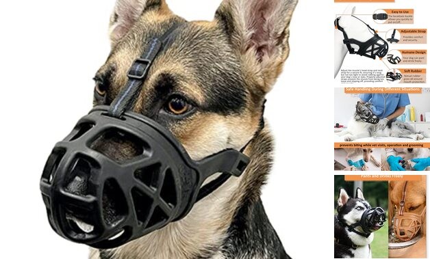 Dog Muzzle, Basket Muzzle for Biting, Chewing and Scavenging, Black Medium