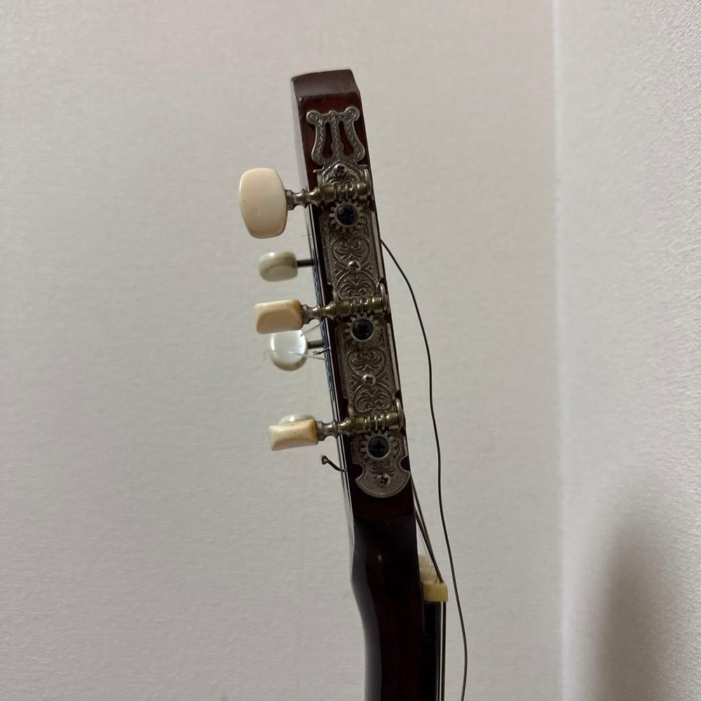 Hashimoto Gut Guitar Classical No. Japan Needs String Repair