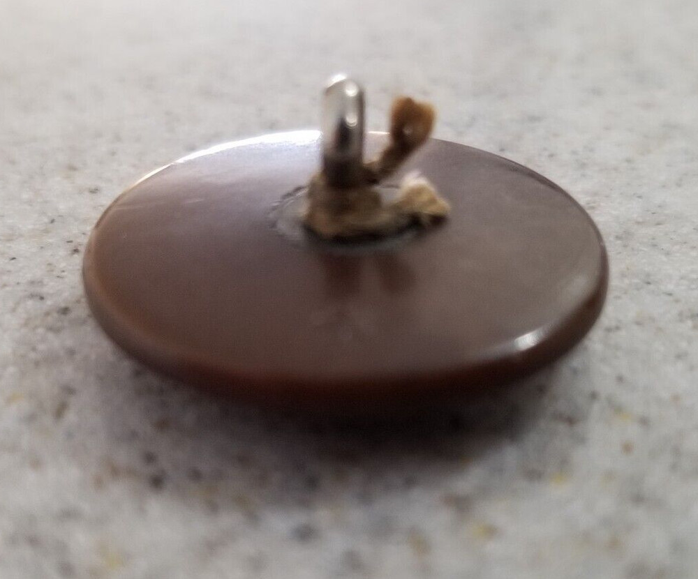 US Army WW1 Vegetable Ivory Brown 7/8” Shank Button