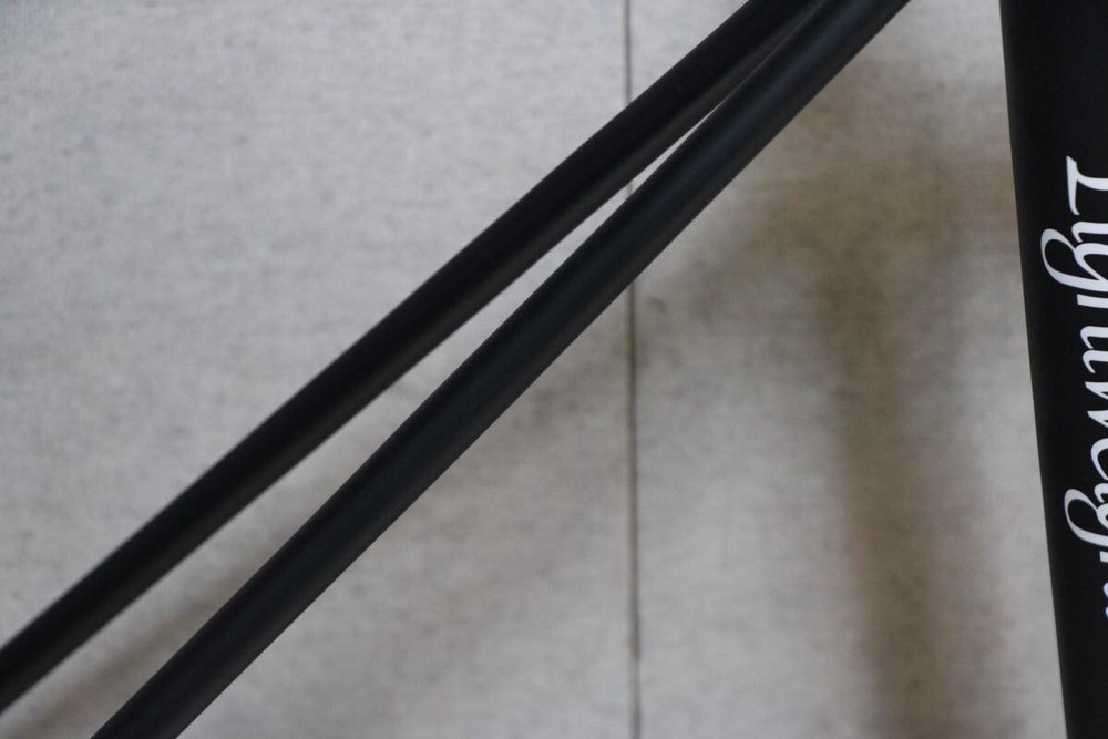 Lightweight URGESTALT Disc Carbon Frame 51 (2018)