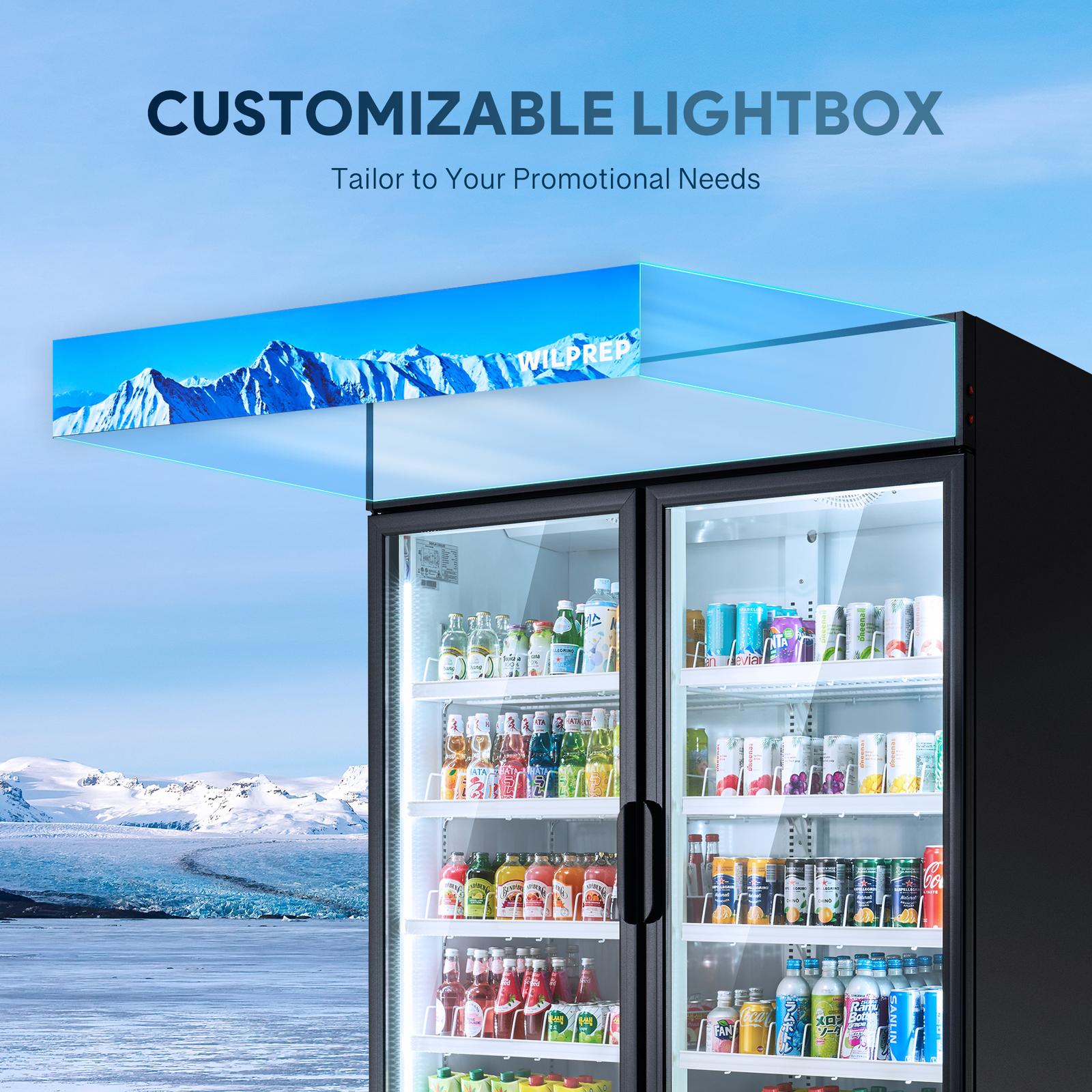 Commercial Merchandiser 2 Glass Door Cooler Display Refrigerator 40 Cu.Ft. ETL