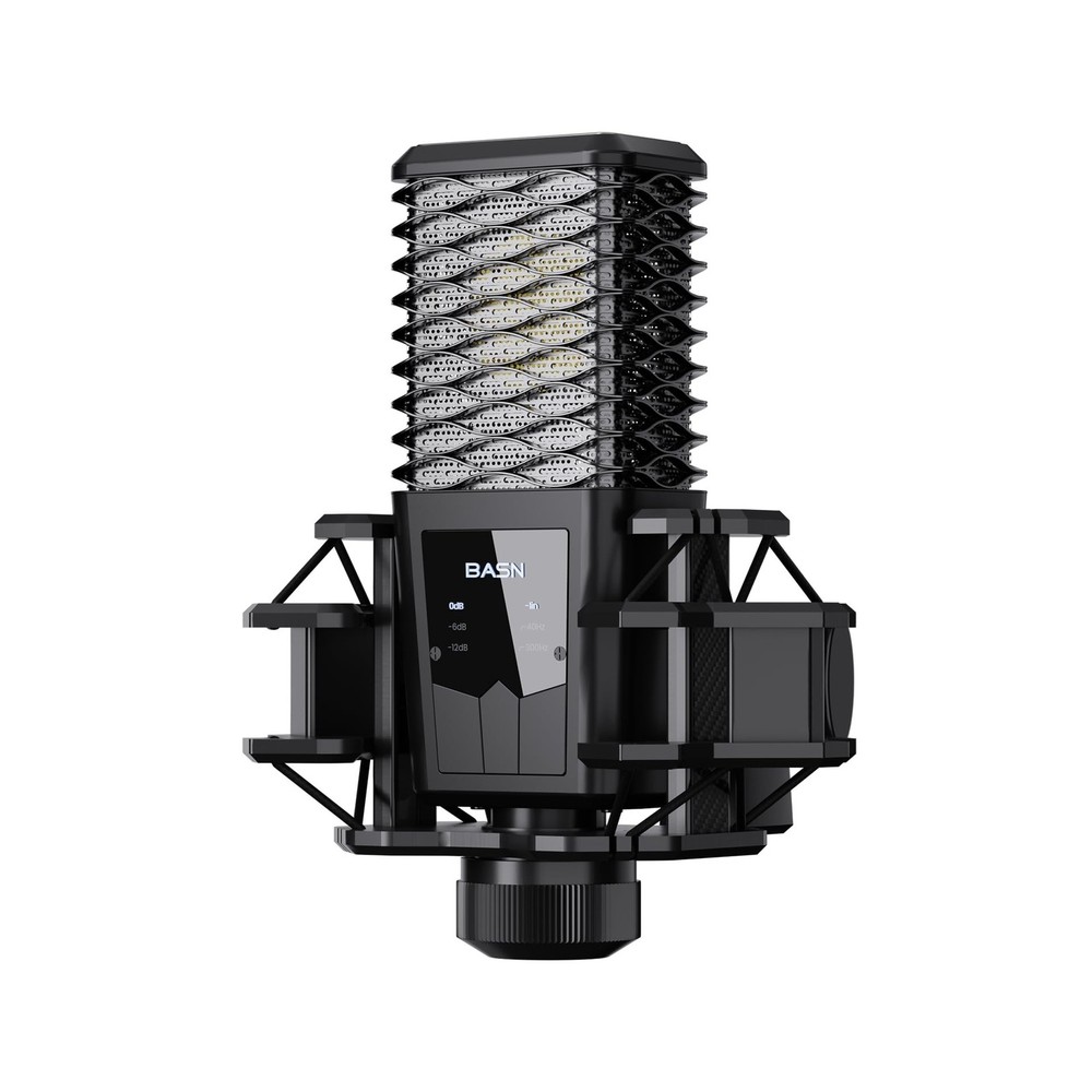 BASN BMS2 Cardioid Condenser Microphone, Large Diaphragm XLR Studio Recording...