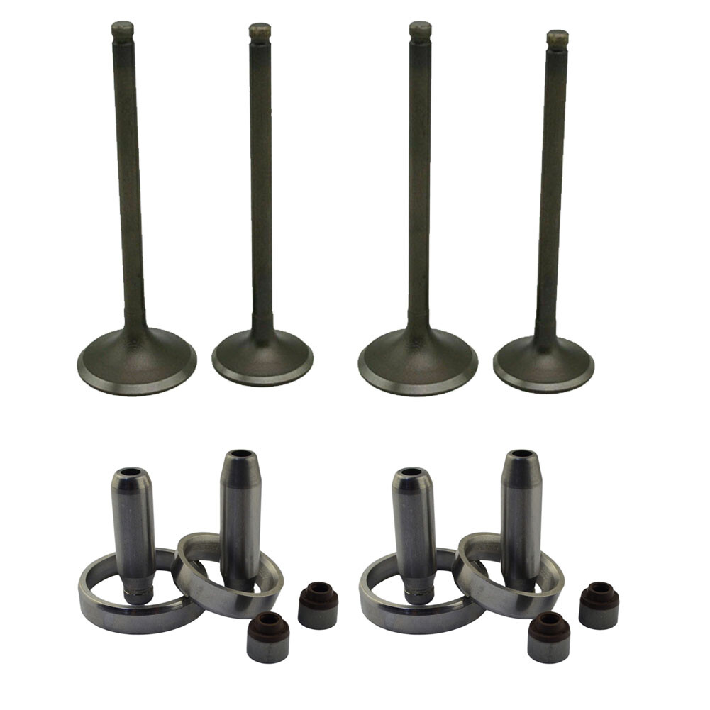 2*Intake 2*Exhaust Valves & Stem Guide Seal Kit For KAWASAKI KXF250 KX250F 04-16