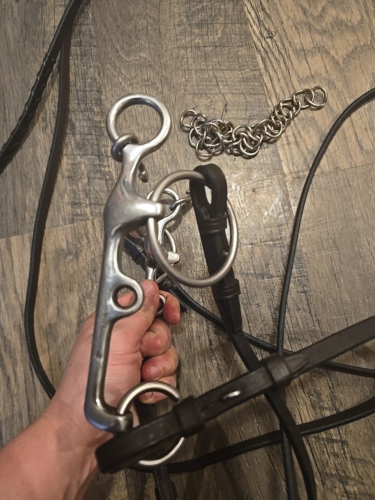 Horse Bit With Reins
