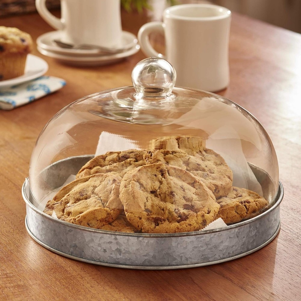 SkyMall Galvanized Metal and Glass Dome Server - Silver
