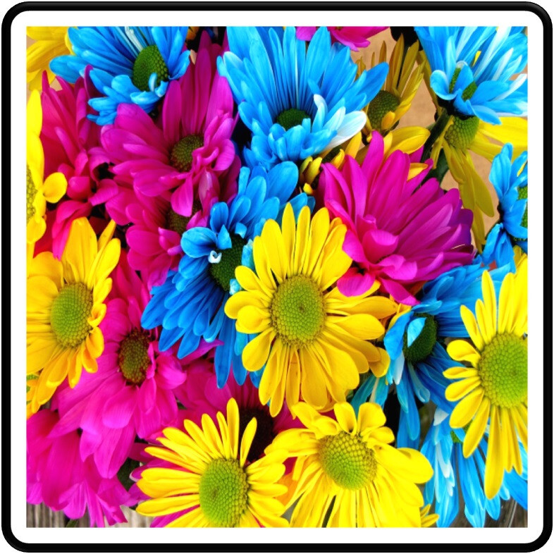 30 Custom Daisy Art Personalized Address Labels