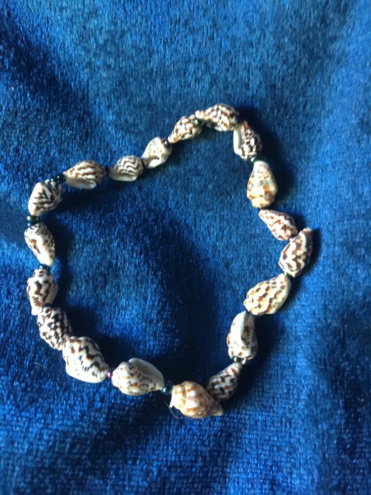 Unsigned Designer Handcrafted Artisan Tiny Seashell & Seed Bead Stretch Bracelet