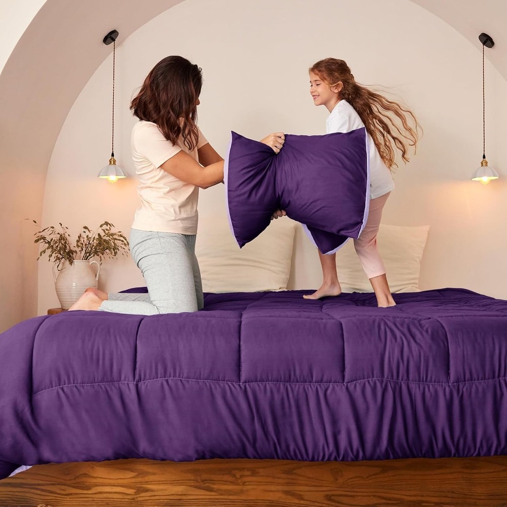 Lightweight Reversible Queen Size Comforter Set Down Alternative Comforter