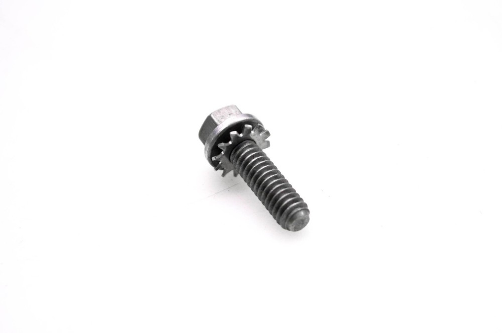 OMC 307155 Screw & Washer NOS