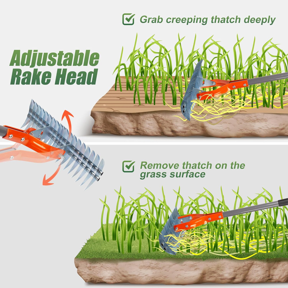 Thatch Rake, 15-Inch Lawn Thatching Rake, Robust Dethatcher Rake, Efficient Stee