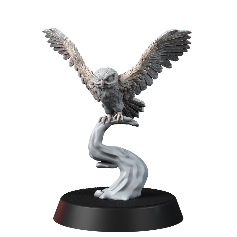 ANIMALS - SPARTANCAST OWLS PACK (5U)