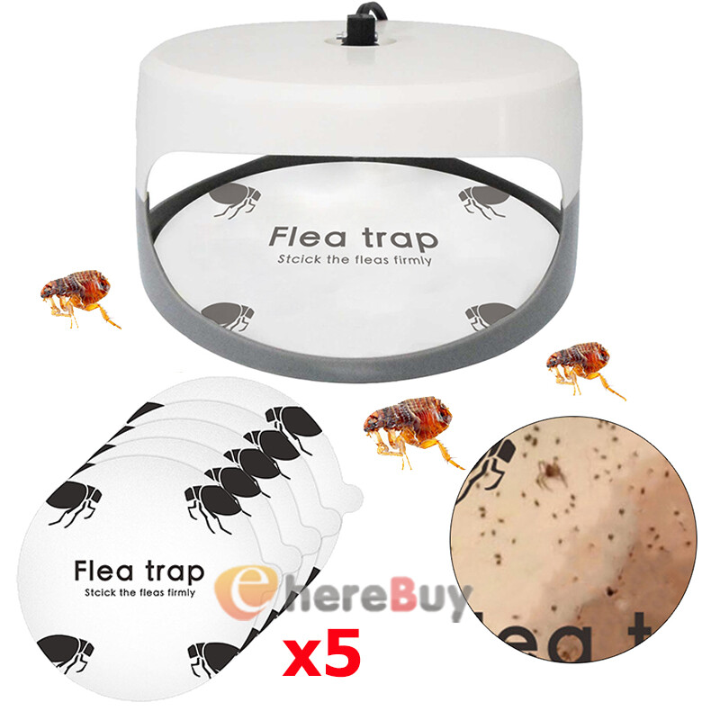 5Pcs Disposable Flea Trap Sticker Bug Dome Flea Trap Refill Flea Glue Discs Safe