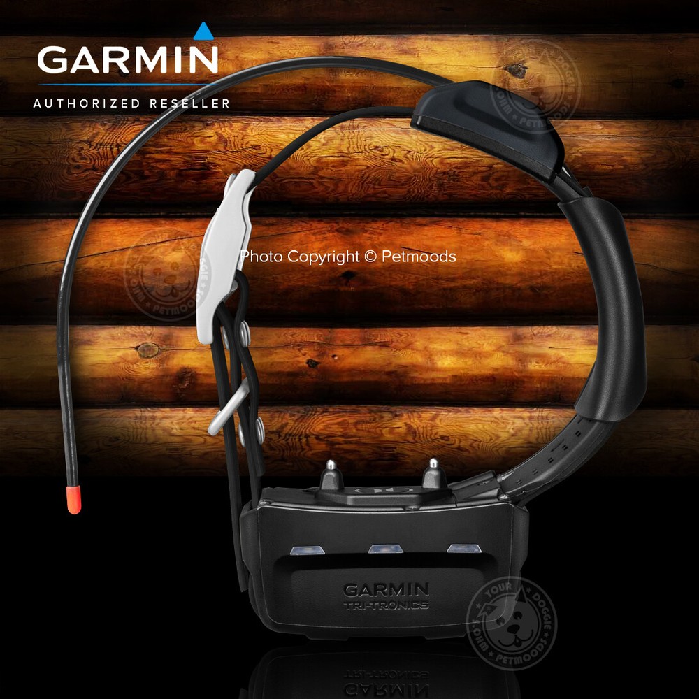 Garmin Pro 550 Plus Bundle Dog Tracking and Training TT15X Collar Device GPS