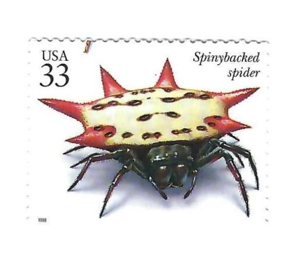 STAMP US SCOTT 3351q "Spinybacked Spider" 33 CENT 1999 MNH