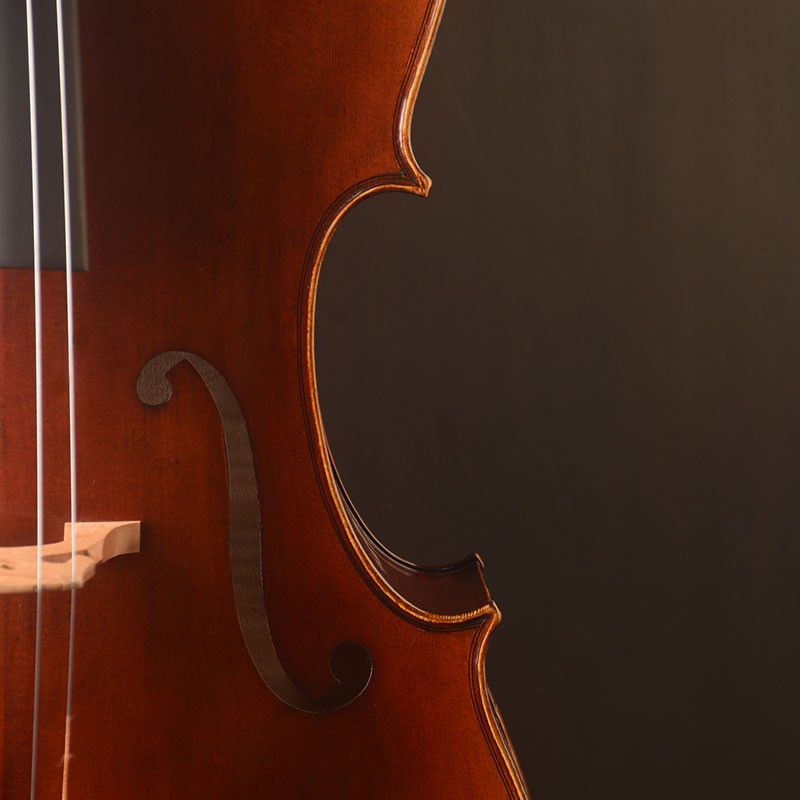 Five string, A Best model strad copy cello 4/4 Size,Extra lowe F.