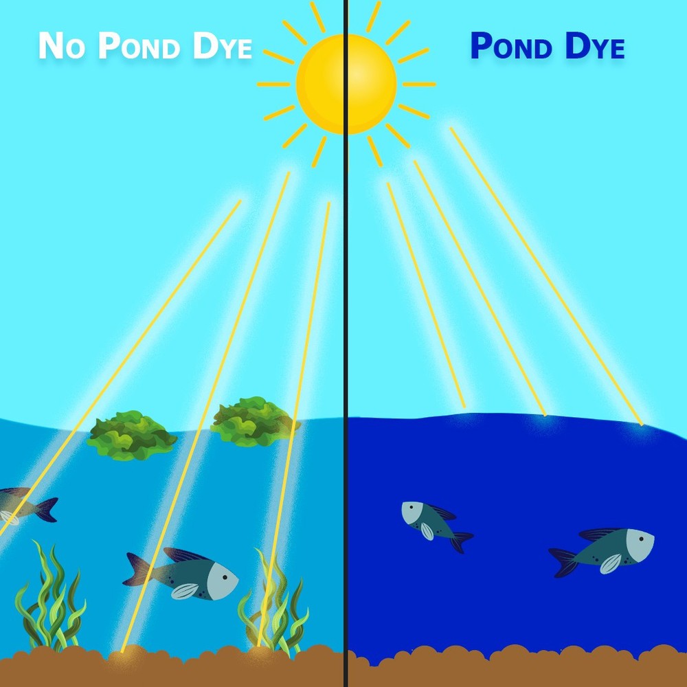 Midnight Blue Pond Dye Concentrated Quart