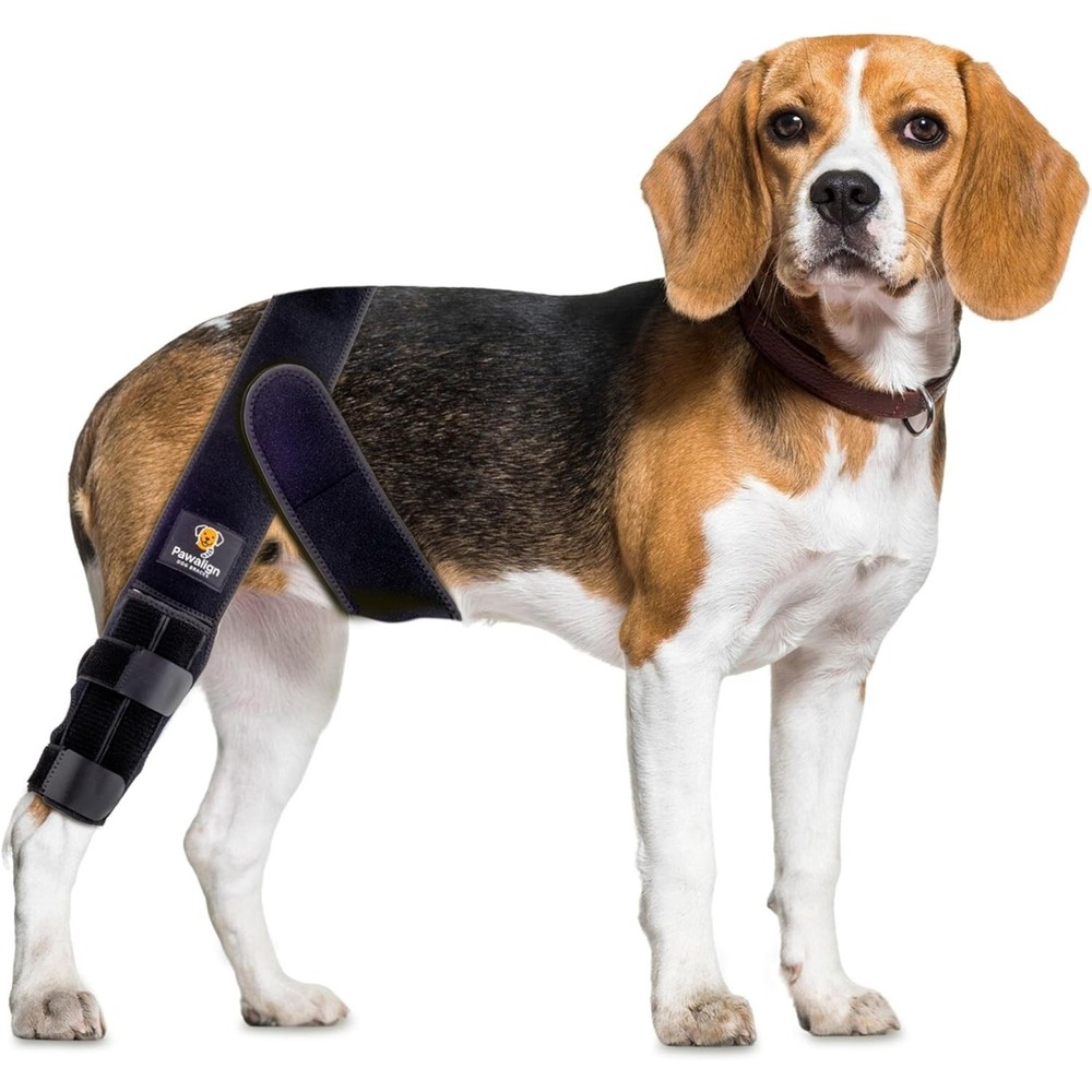 Pawalign Dog Knee Brace Back & Front Support Black Small