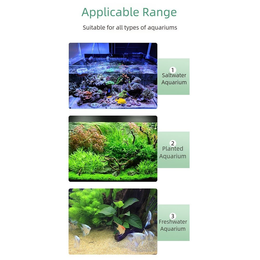 Fish Tank Thermometer Digital Display with Energy Efficient Sensor Technology