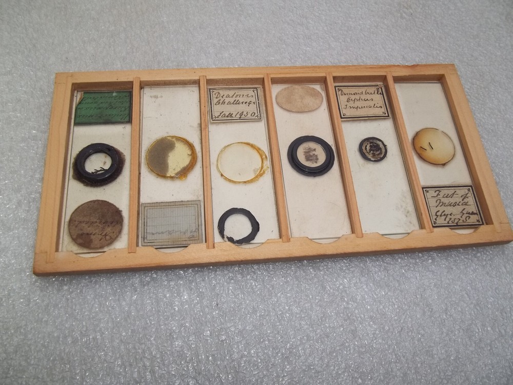 Antique Glass Microscope Slides