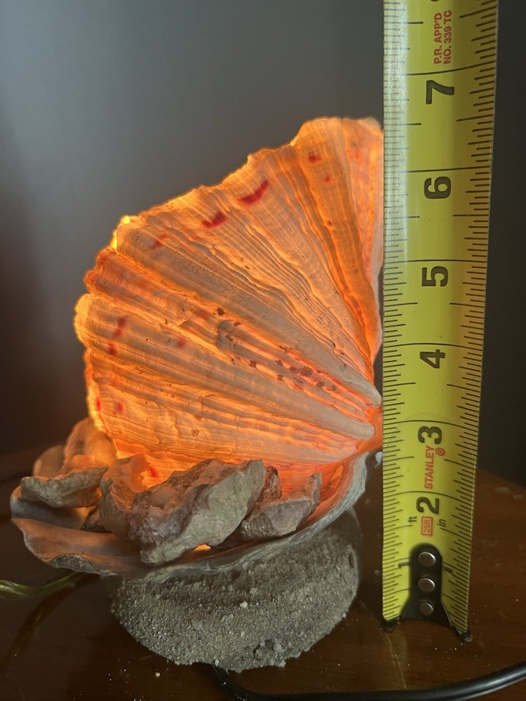 Clam Shell Lamp Accent Night Light
