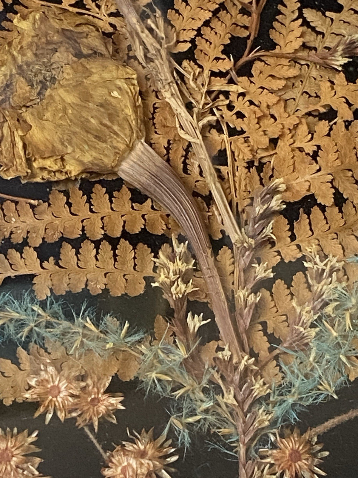 Set of 4 Framed Pressed Flower Art/Wall Decor