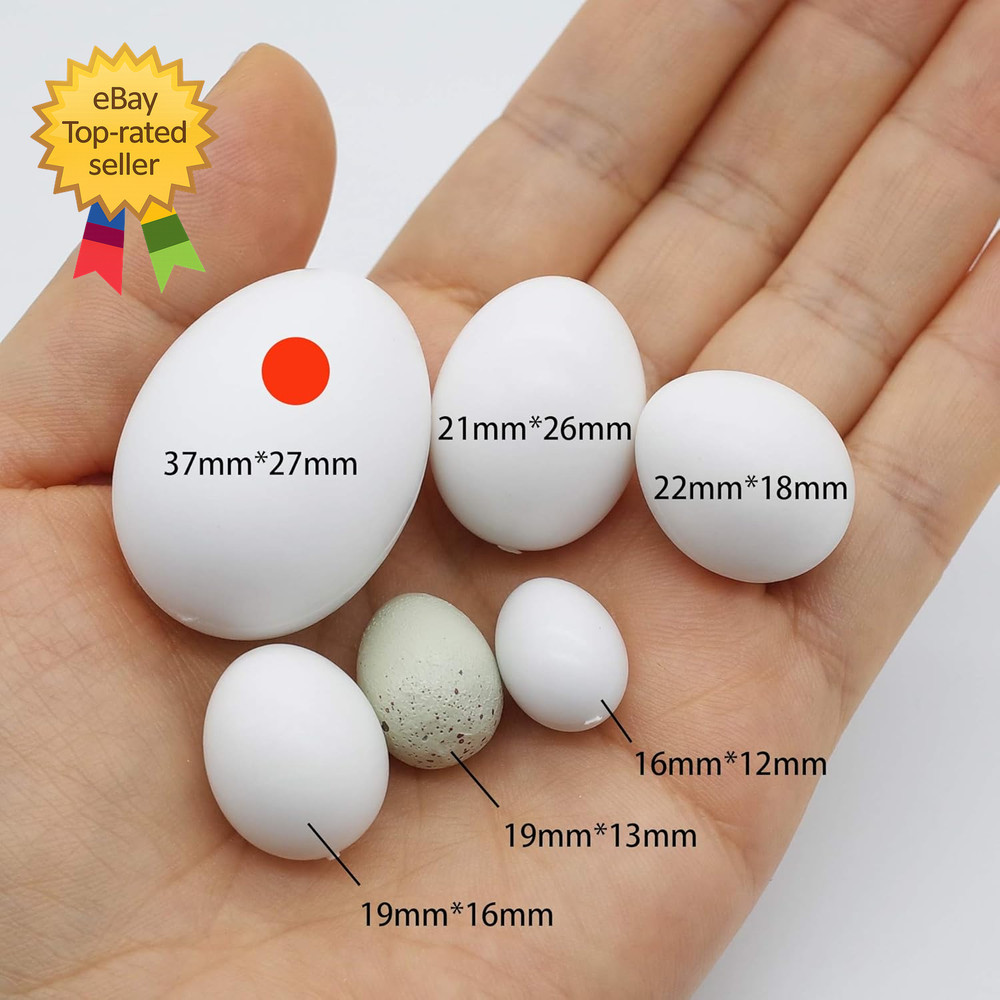 5 Pcs Solid Parrot Plastic Eggs Hatching Eggs Mini Macaw Amazon Cockatoo African