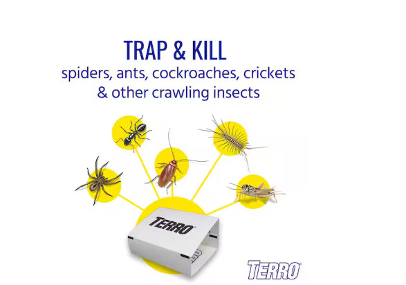 TERRO Non-Toxic Spider and Insect Trap (4-Count)