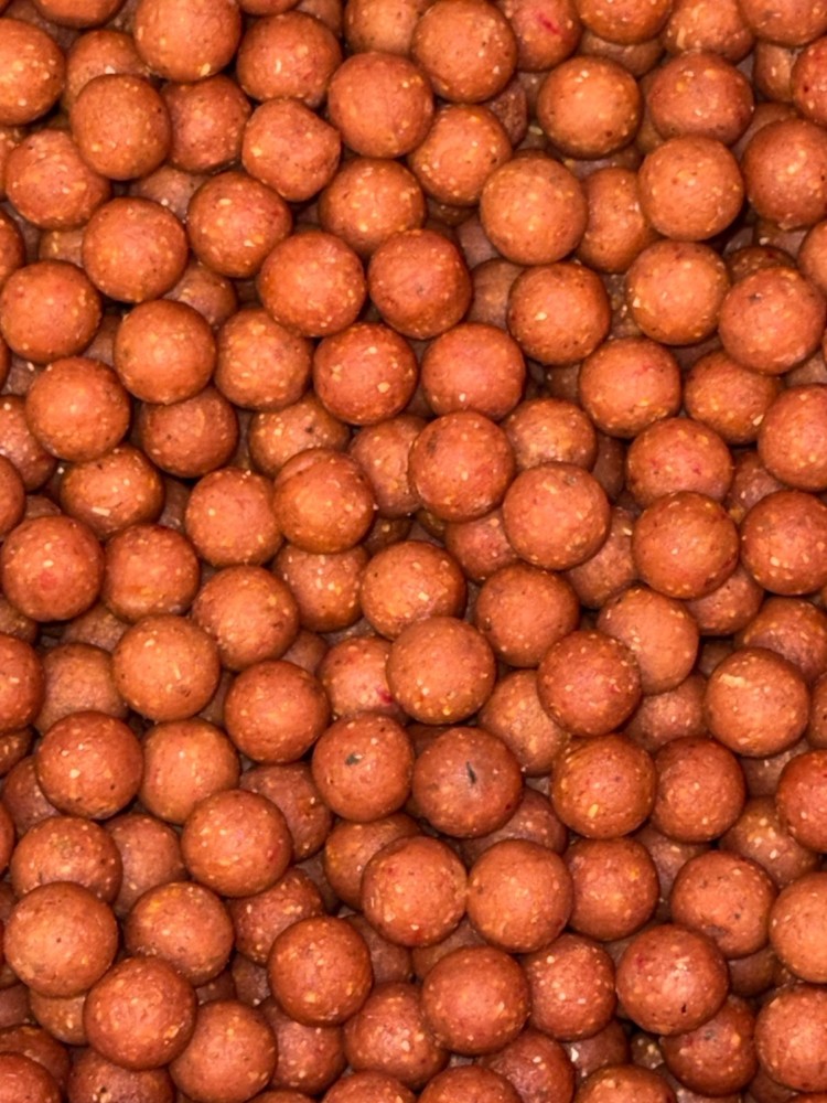 Kingybaits Squidberry 5kg bundle.