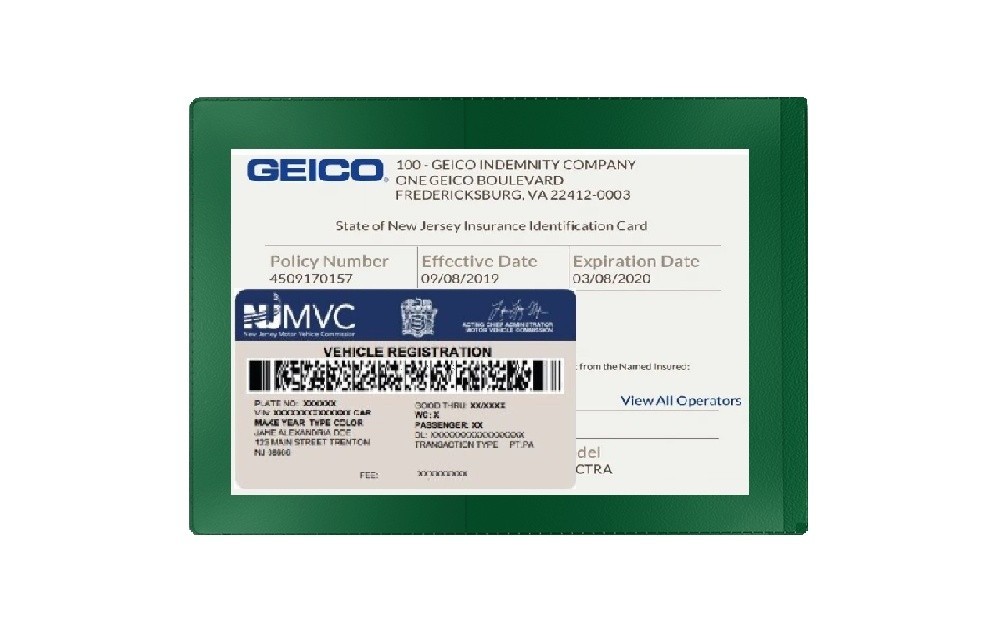 Green Car Insurance Registration Document Holder - 1 Pack