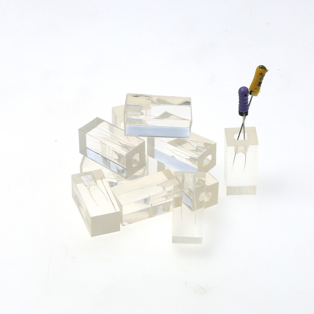 10PCS Dental Endodontic Root Canals Practice Model Endo Training Block Clear