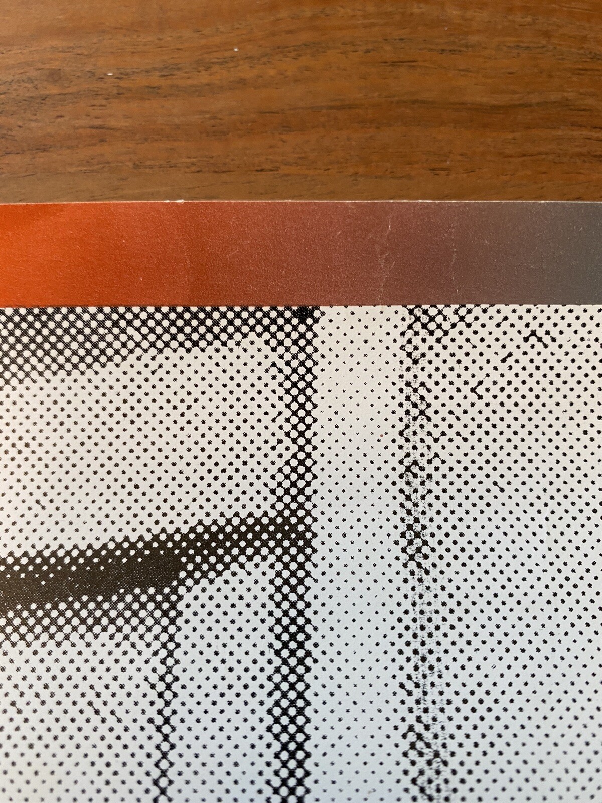 Vintage Malcom X with Rifle Poster