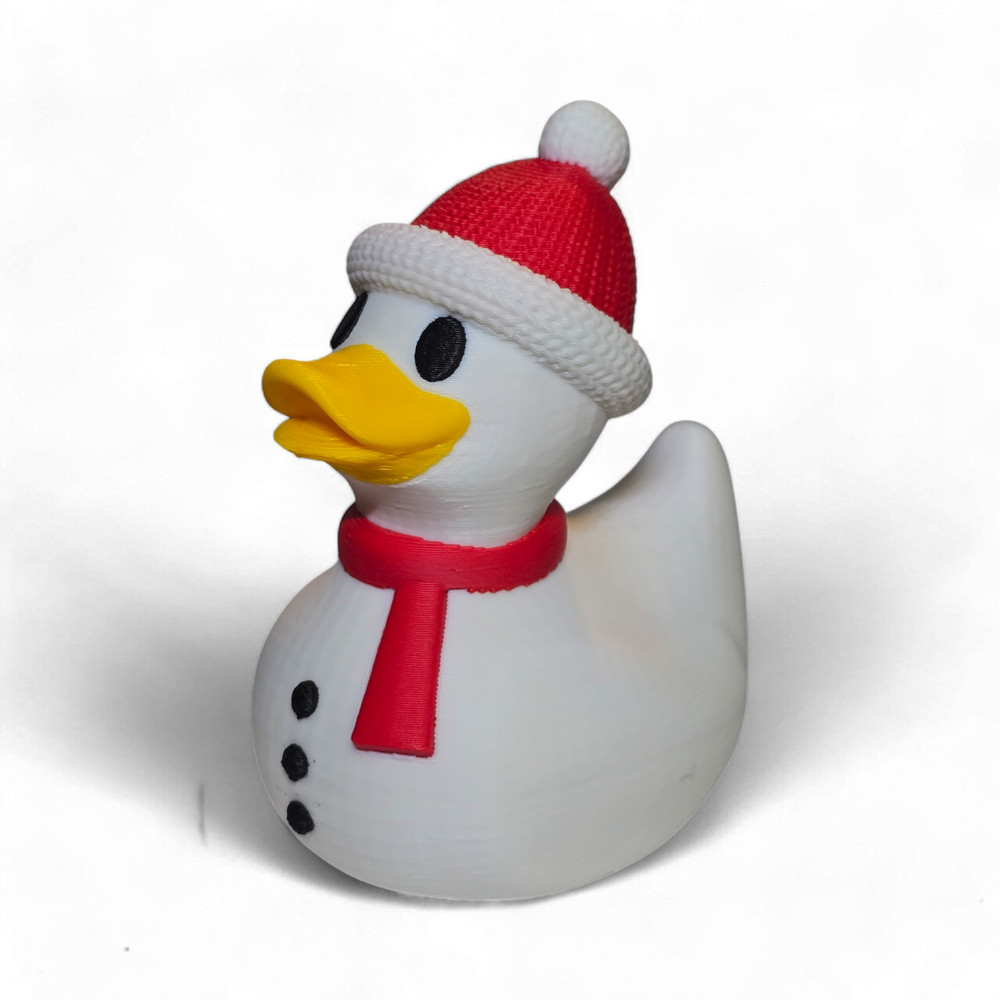 Snow Duck