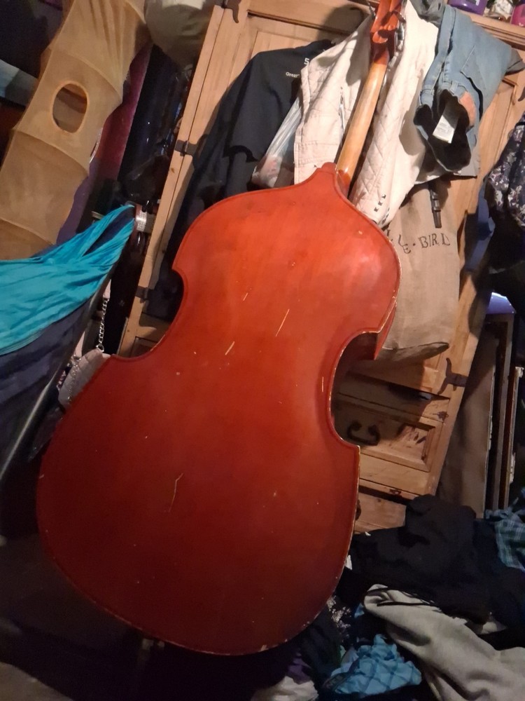 Bass Cello