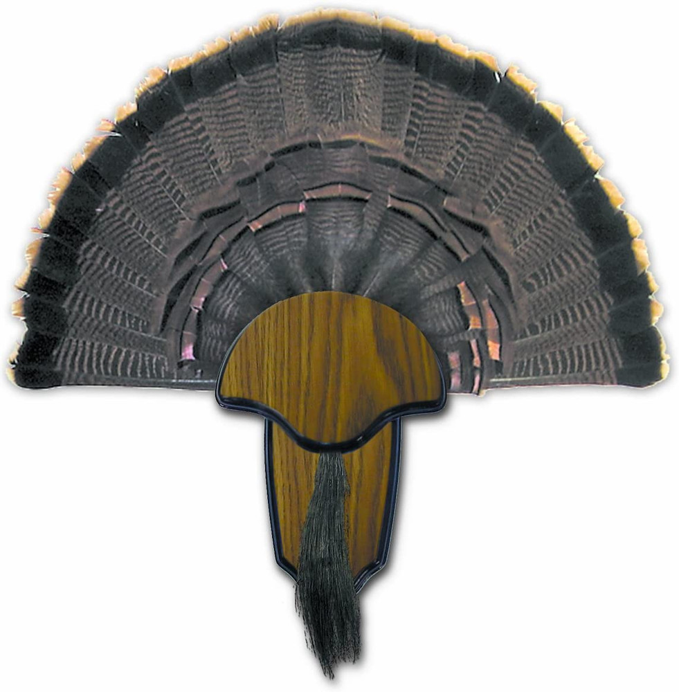 Strut Turkey Tail & Beard Mounting Kit - Durable Easy to Assemble Trophy Mount K