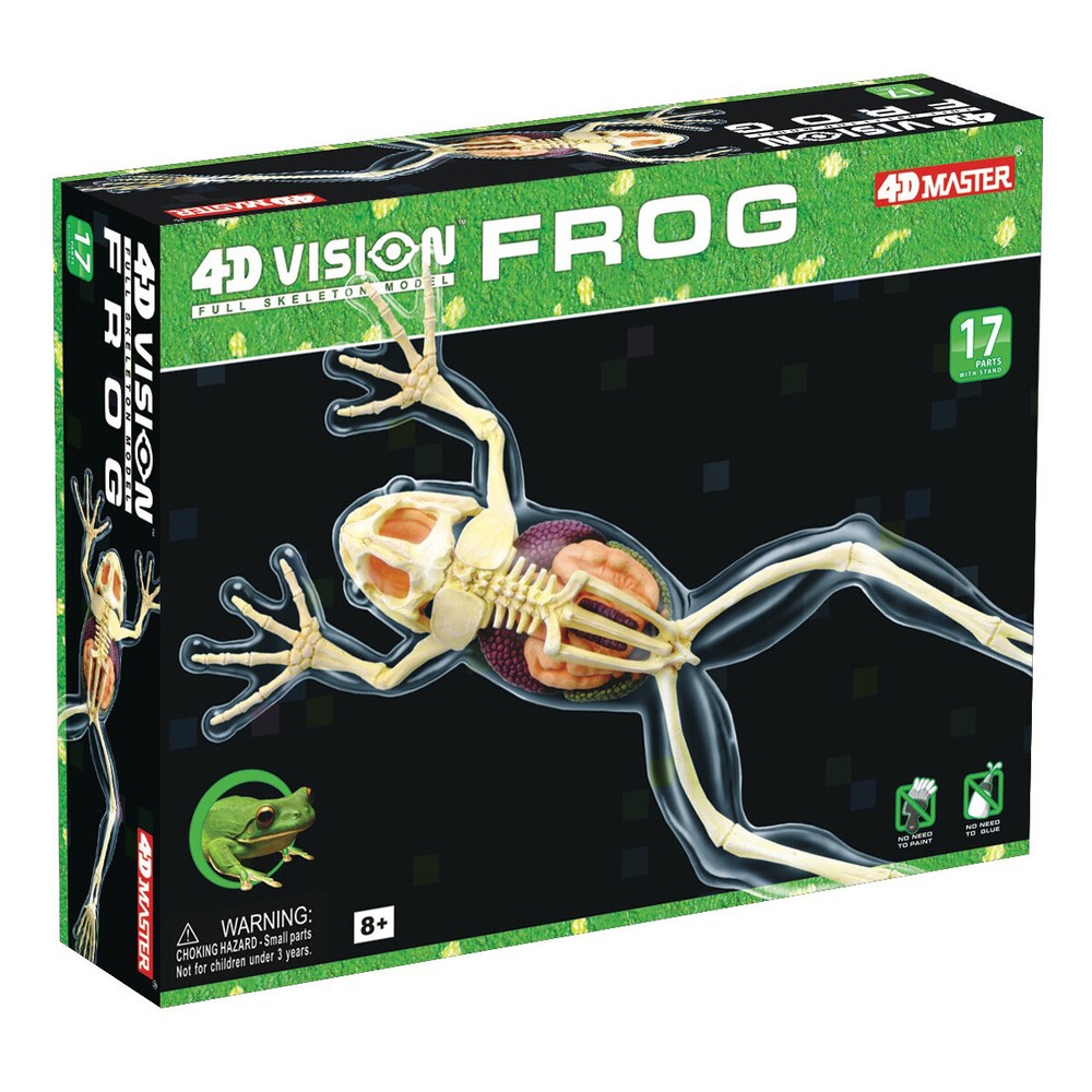 New - 4D Master 4D Vision Full Skeleton Frog Model - Ages 8+ | 1 player