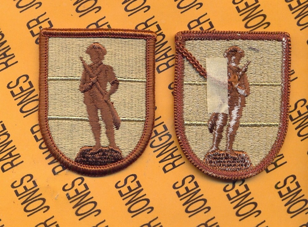 US Army National Guard Schools Command ARNG Desert DCU patch m/e