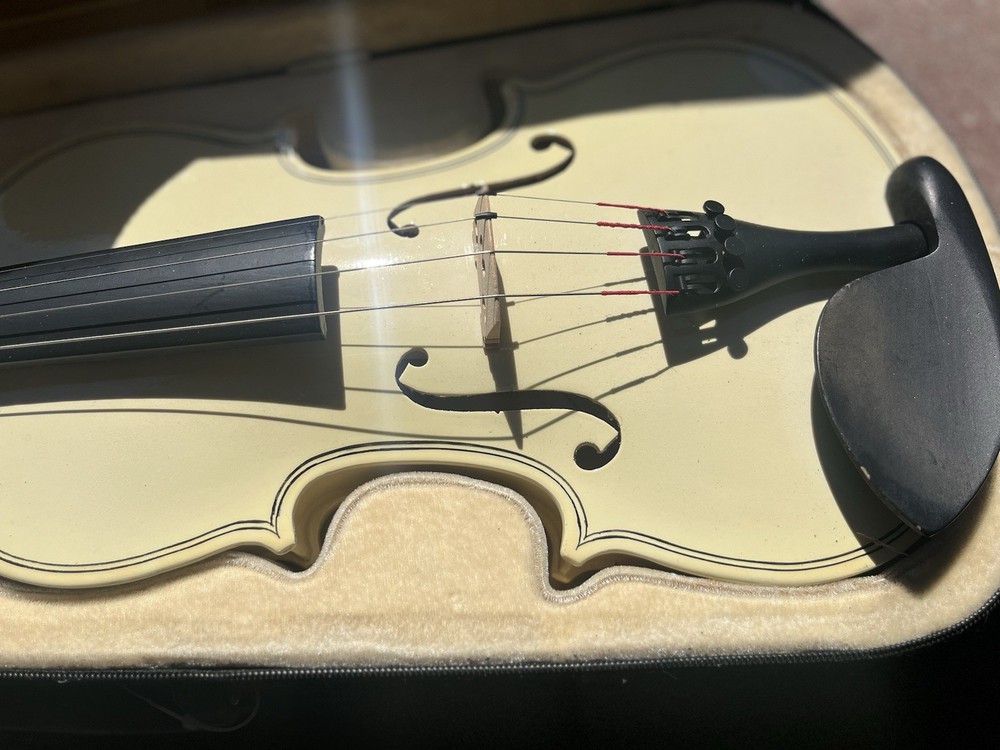 Student Violin 4/4 Size with Case Unbranded