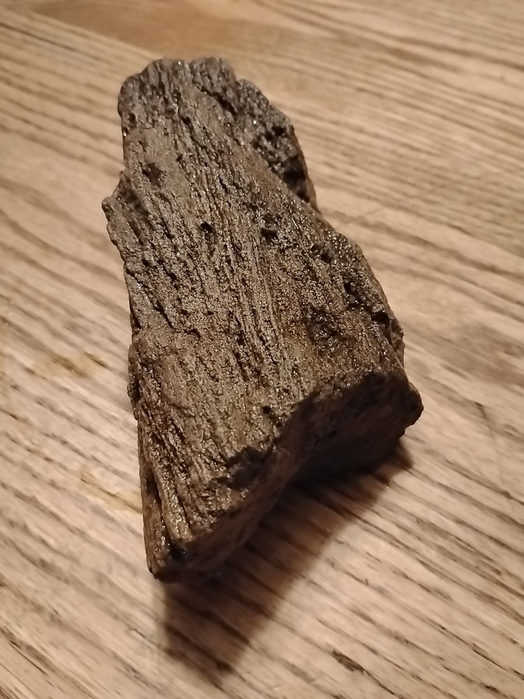Petrified Wood 738g (Outer Bark)