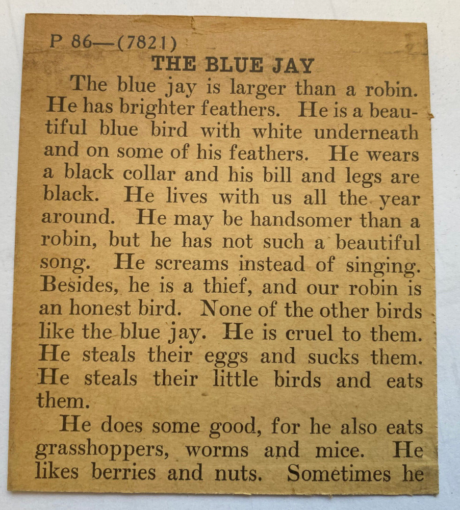 KEYSTONE MAGIC LANTERN SLIDE 86 THE BLUE JAY 1920s