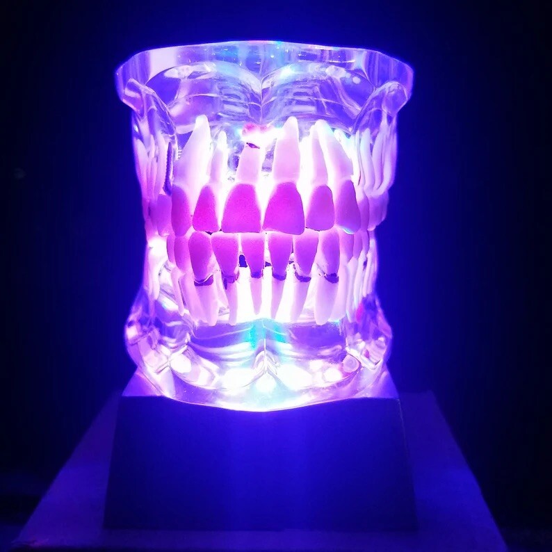 Dental Consultation Model