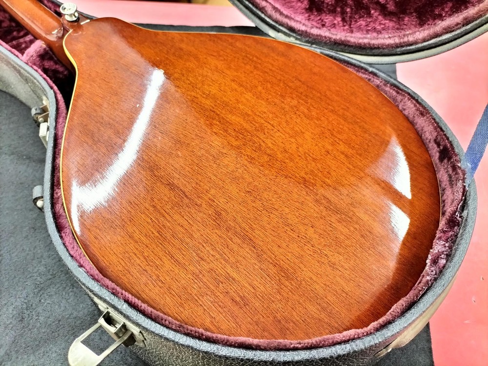 BLUERIDGE BM300F/TS Mandolin